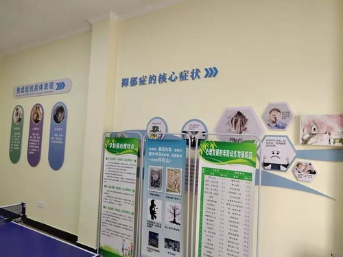 淳安心理服務(wù)體系新篇章 構(gòu)筑覆蓋城鄉(xiāng)的“心靈港灣”